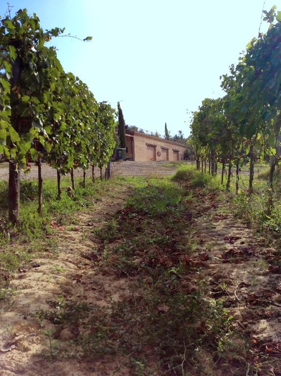 Agriturismo San Gallo Montepulciano Stazione Esterno foto
