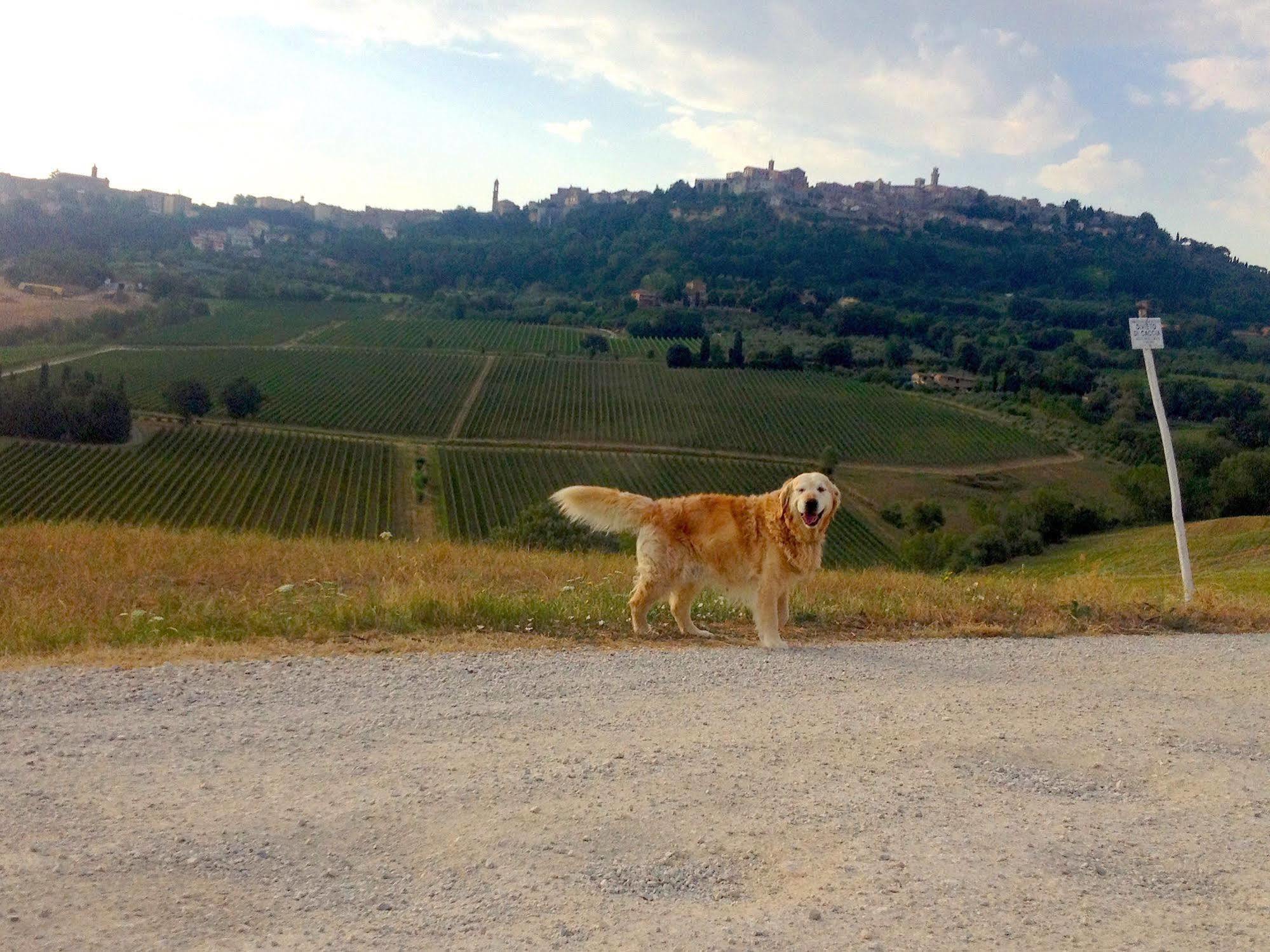 Agriturismo San Gallo Montepulciano Stazione Esterno foto