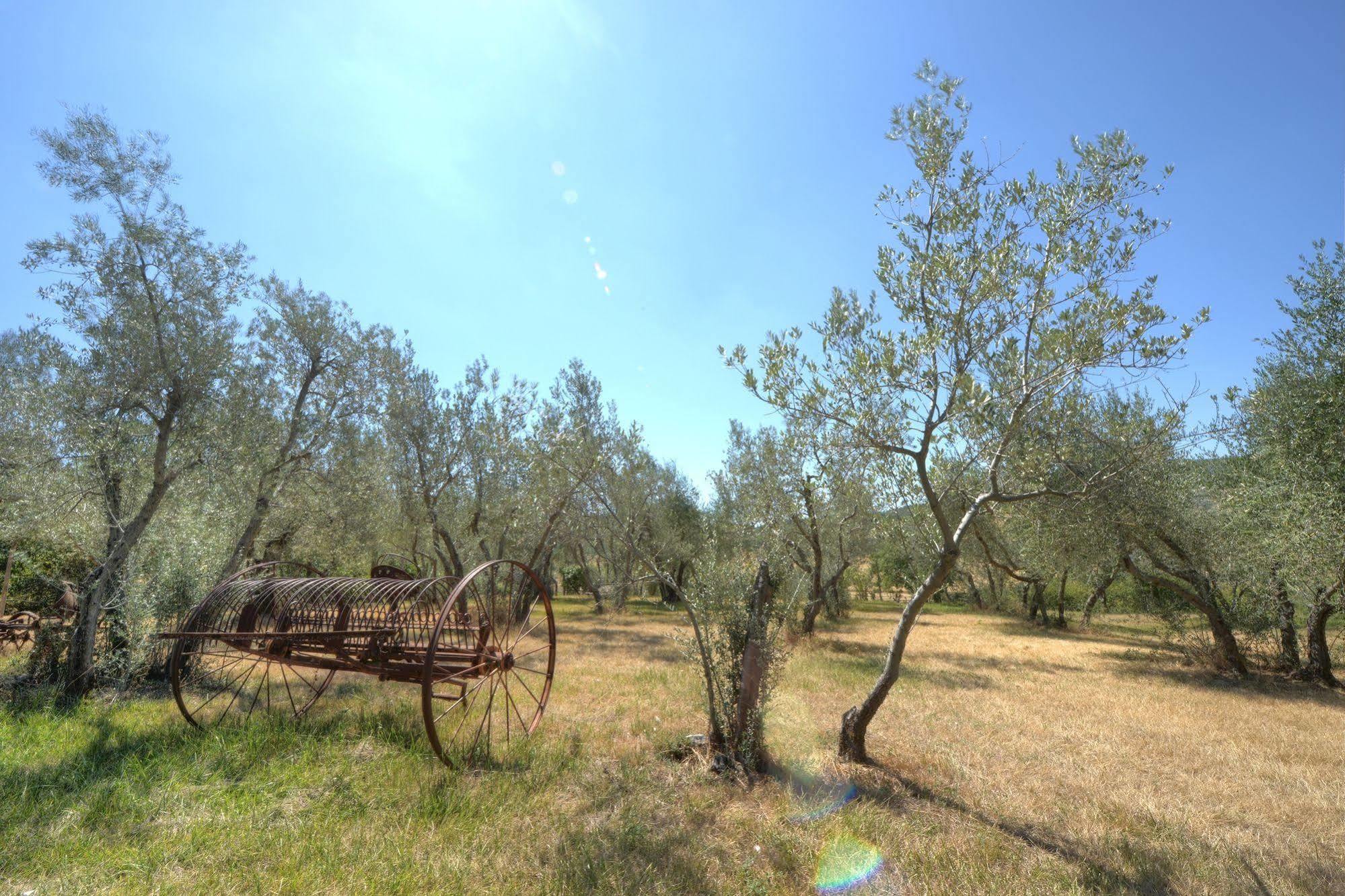 Agriturismo San Gallo Montepulciano Stazione Esterno foto